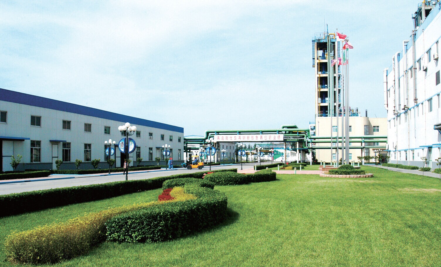 东岳高分子材料公司厂区